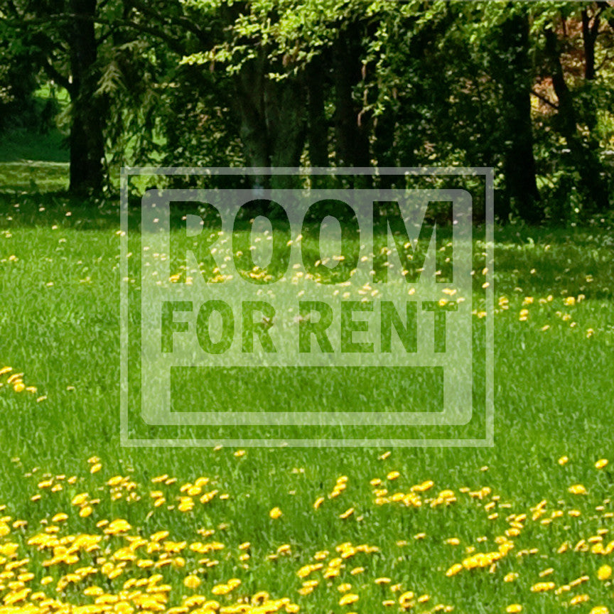 Room For Rent Business Sign