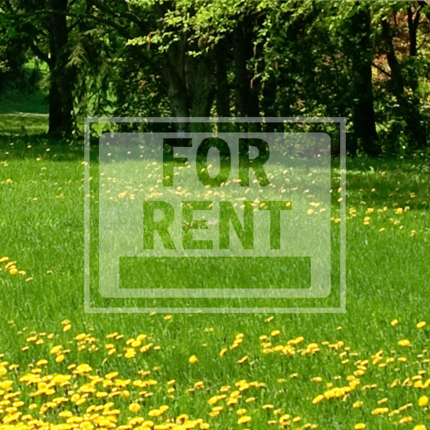 For Rent Business Sign