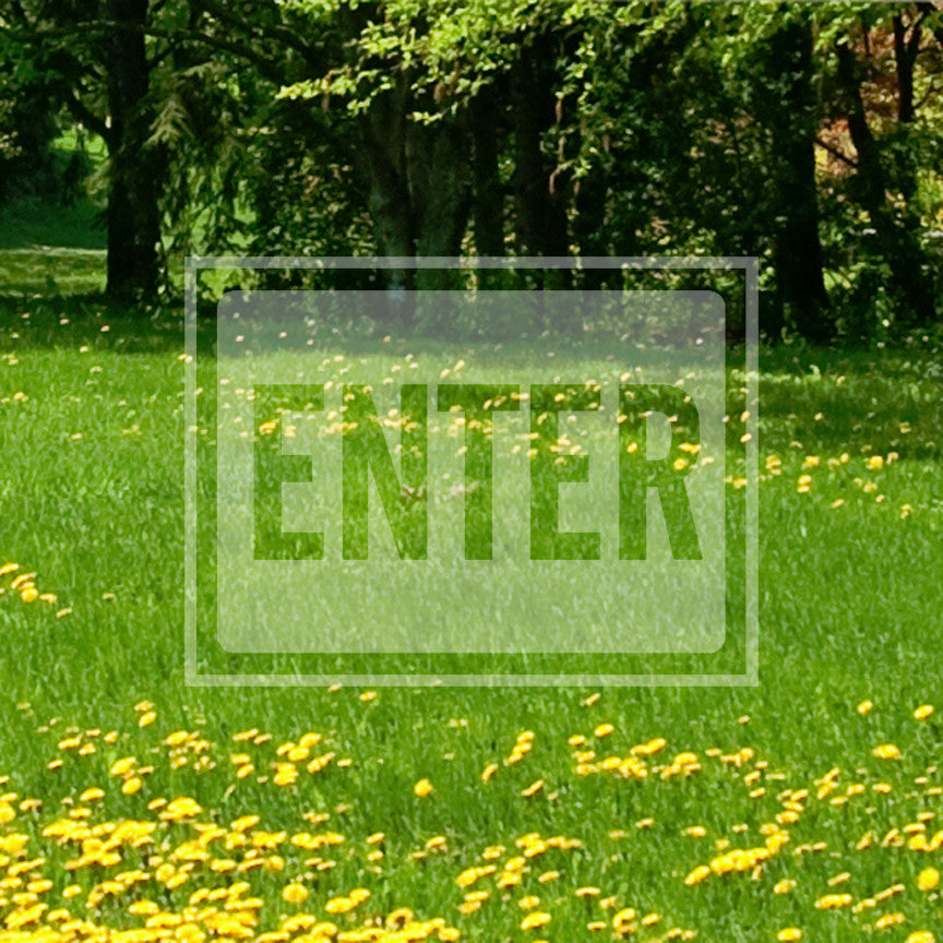 Enter Business Sign