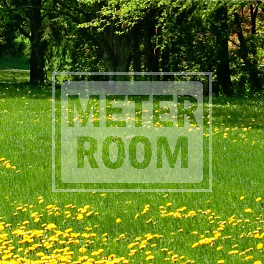 Meter Room Business Sign