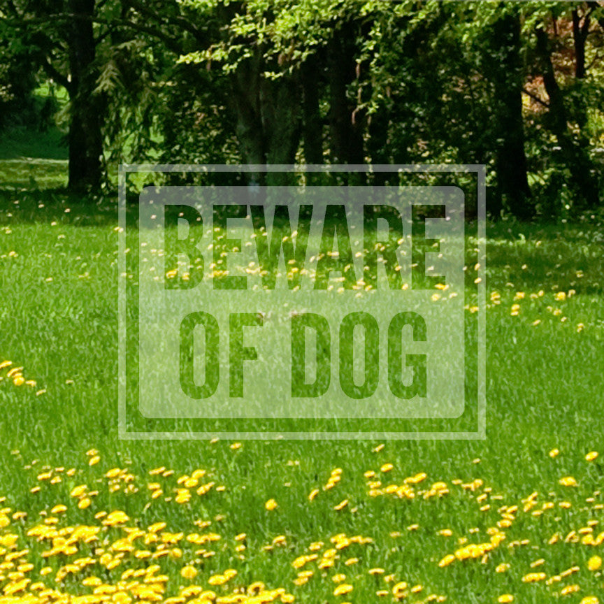 Beware Of Dog Sign