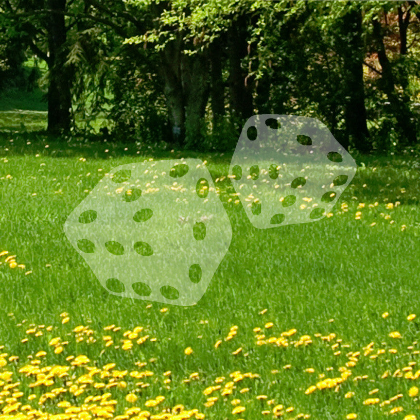 Pair Of Dice Die