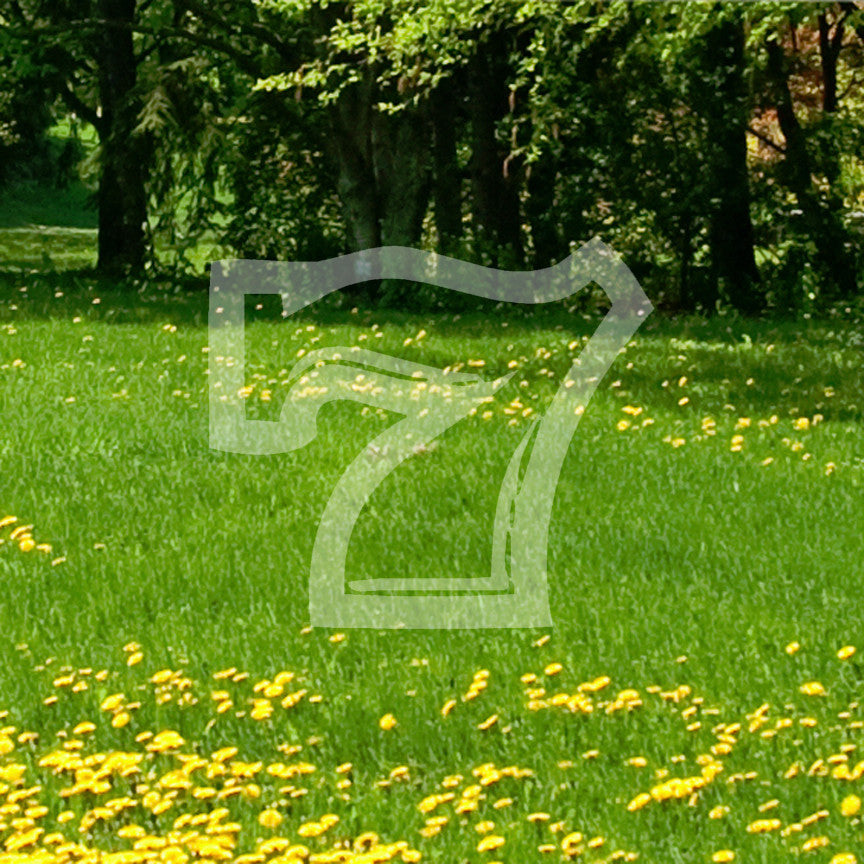 7 Seven