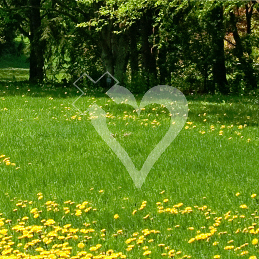 Heart With Cross