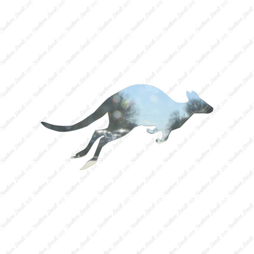 Kangaroo Jumping