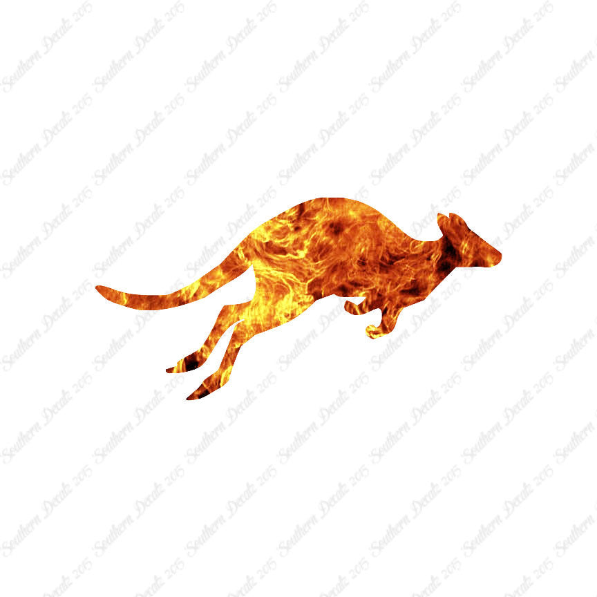 Kangaroo Jumping