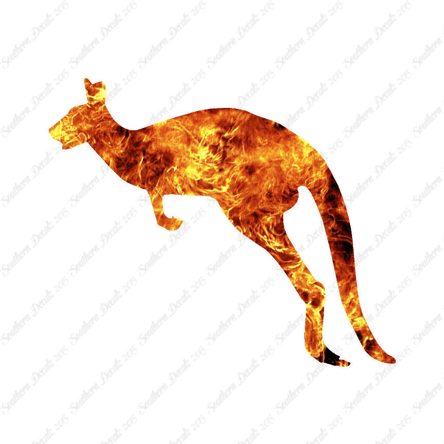 Kangaroo