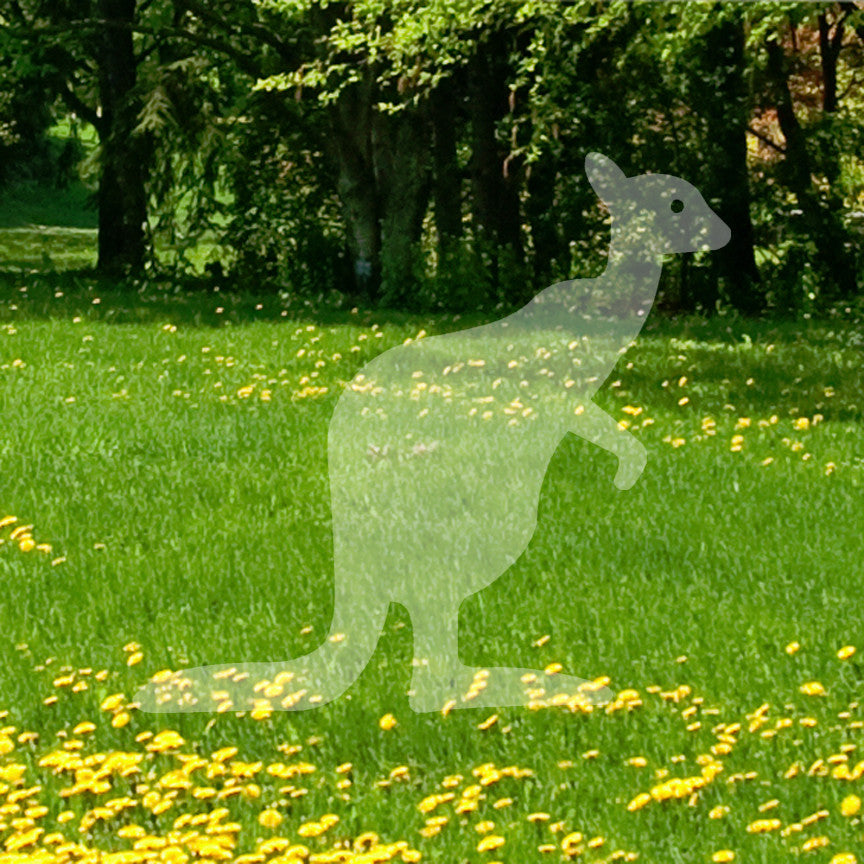 Kangaroo Art