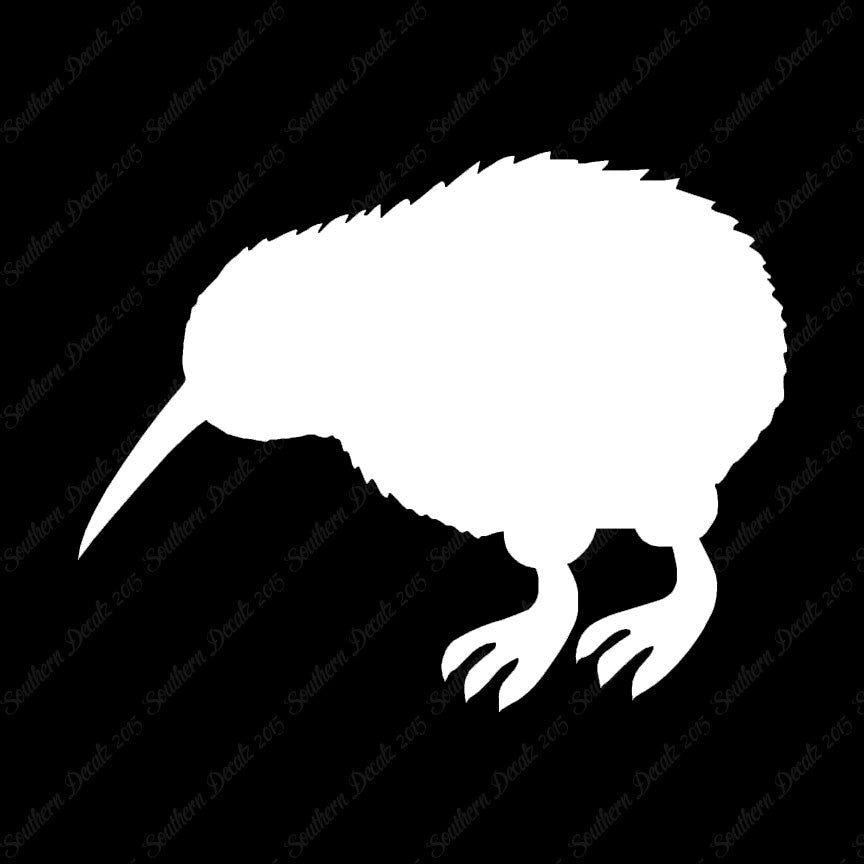 Kiwi Rheas Emu Bird