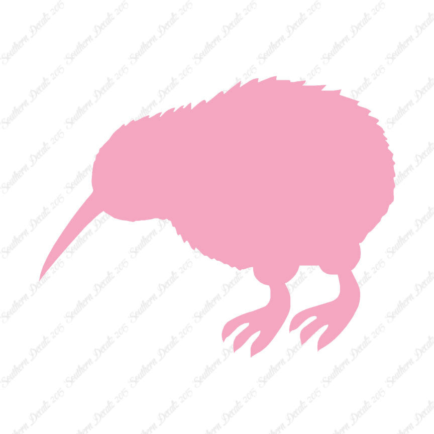 Kiwi Rheas Emu Bird