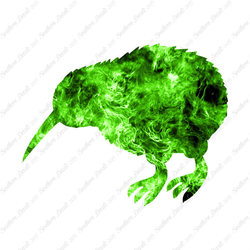 Kiwi Rheas Emu Bird