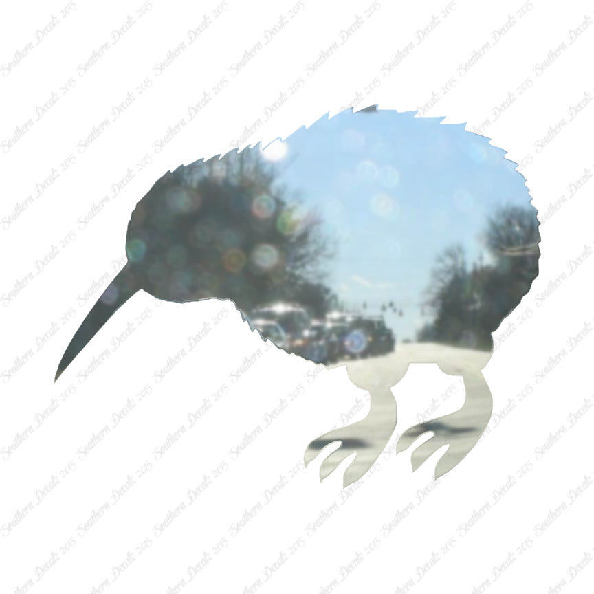 Kiwi Rheas Emu Bird