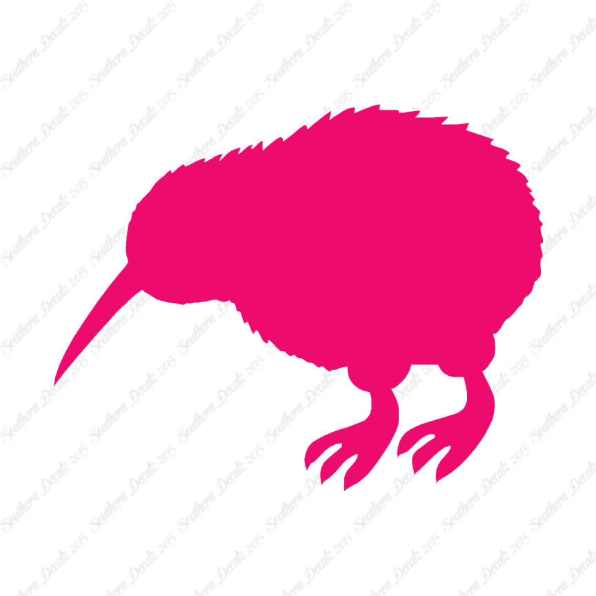Kiwi Rheas Emu Bird