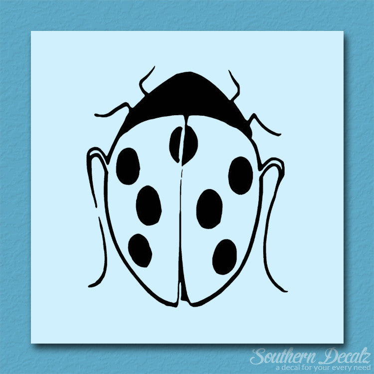 Ladybug Insect