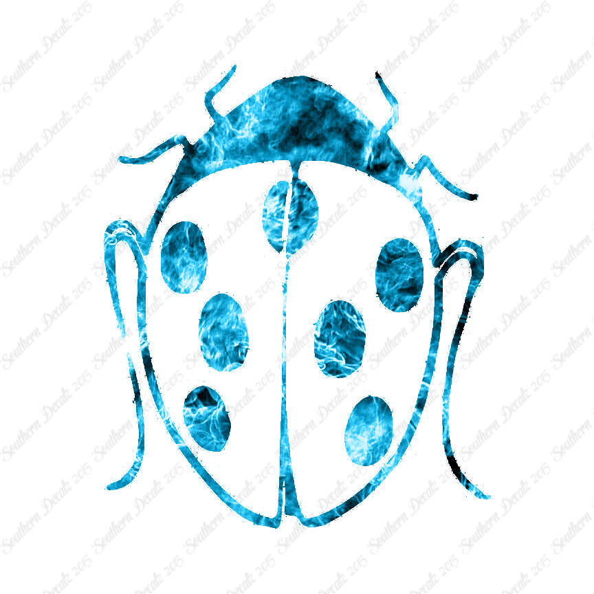 Ladybug Insect