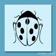 Ladybug Insect
