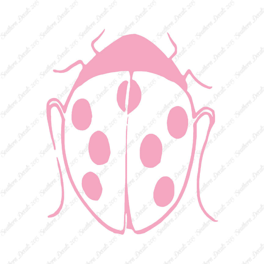 Ladybug Insect