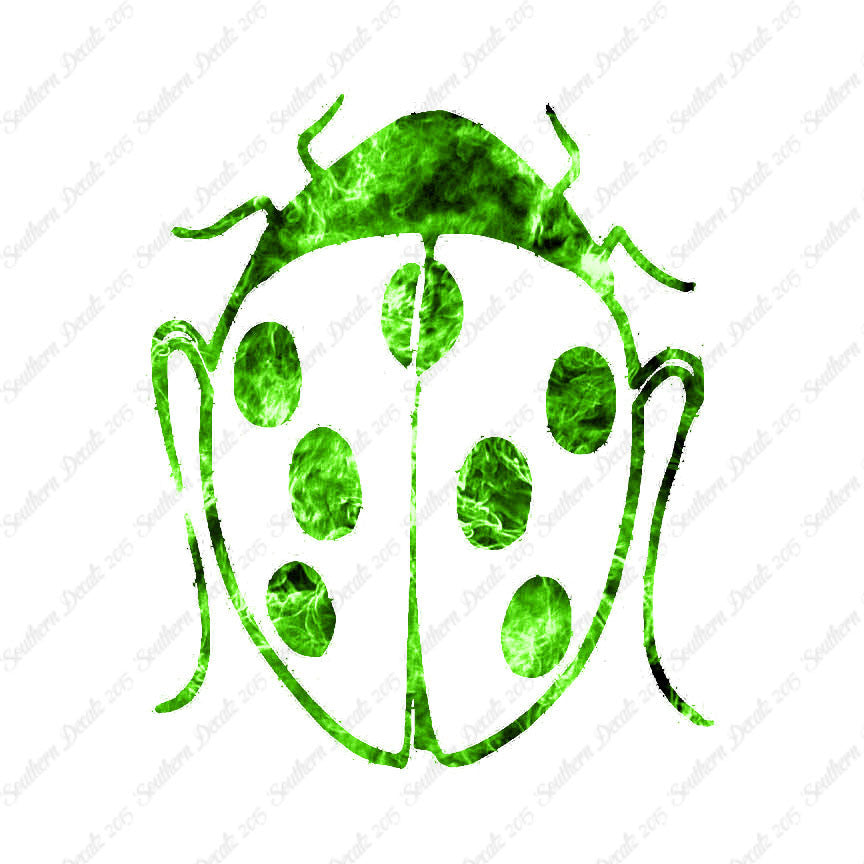Ladybug Insect
