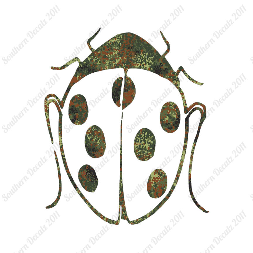 Ladybug Insect