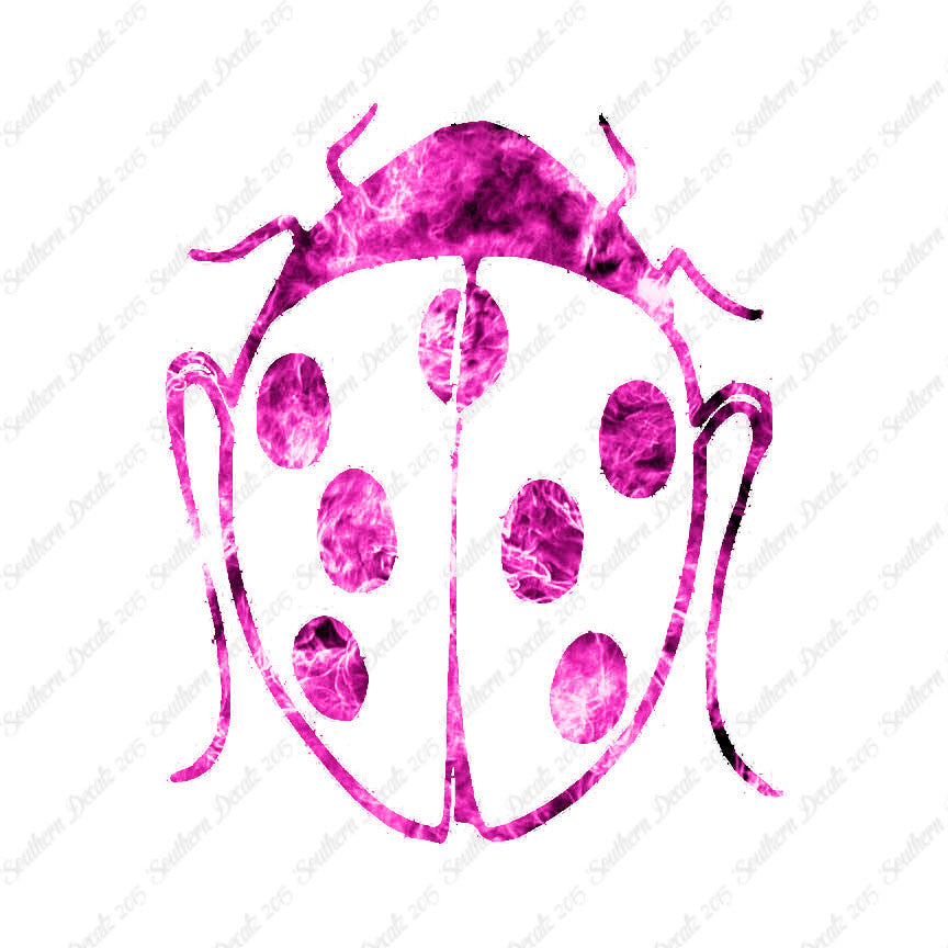 Ladybug Insect