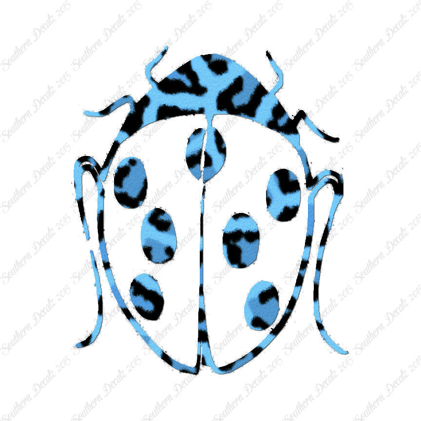 Ladybug Insect