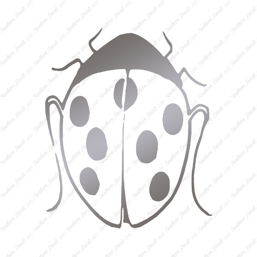 Ladybug Insect