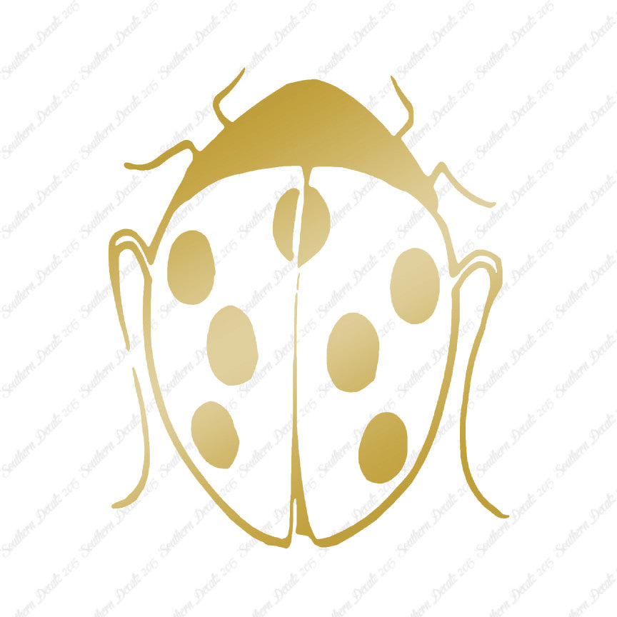 Ladybug Insect