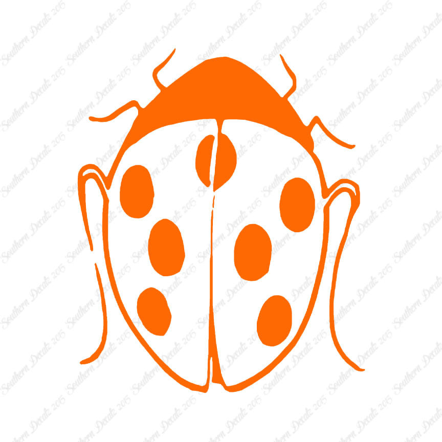 Ladybug Insect