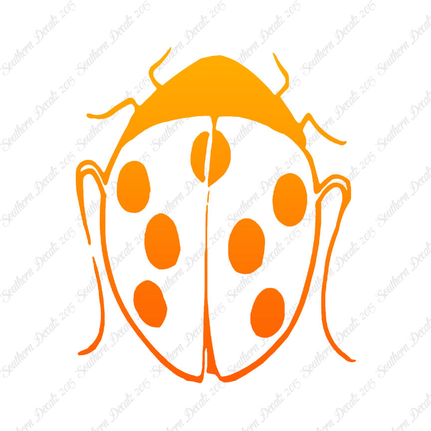 Ladybug Insect