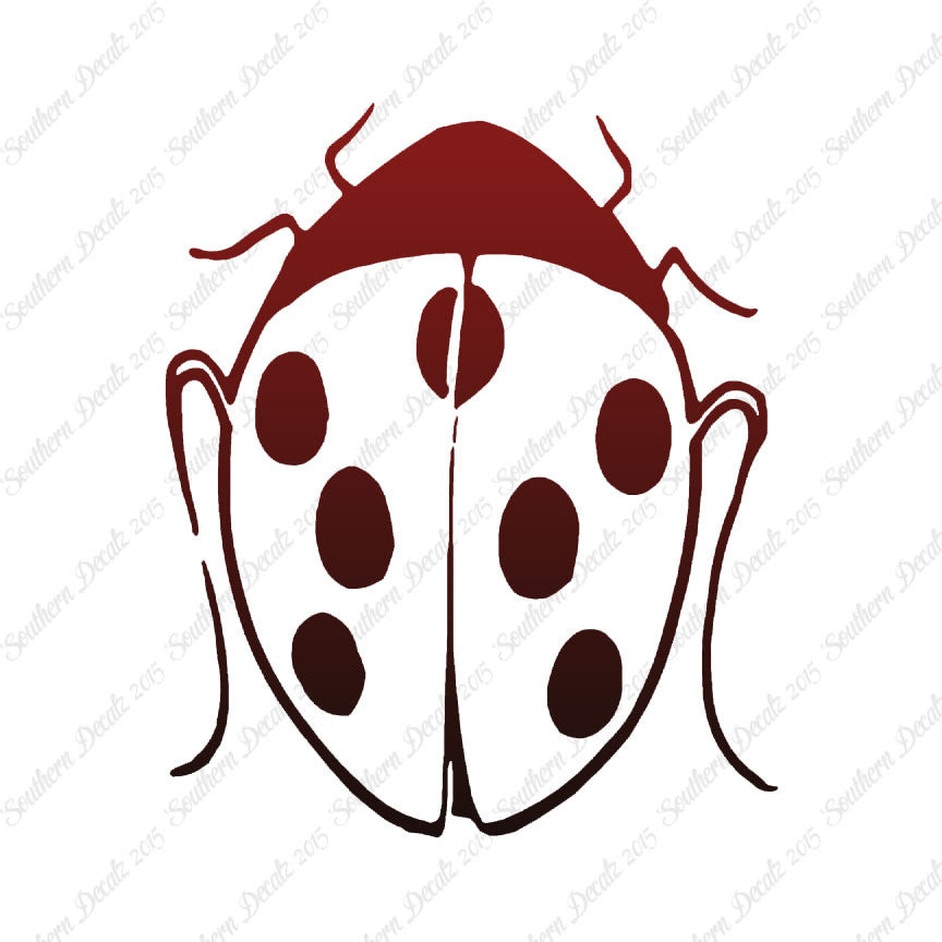Ladybug Insect