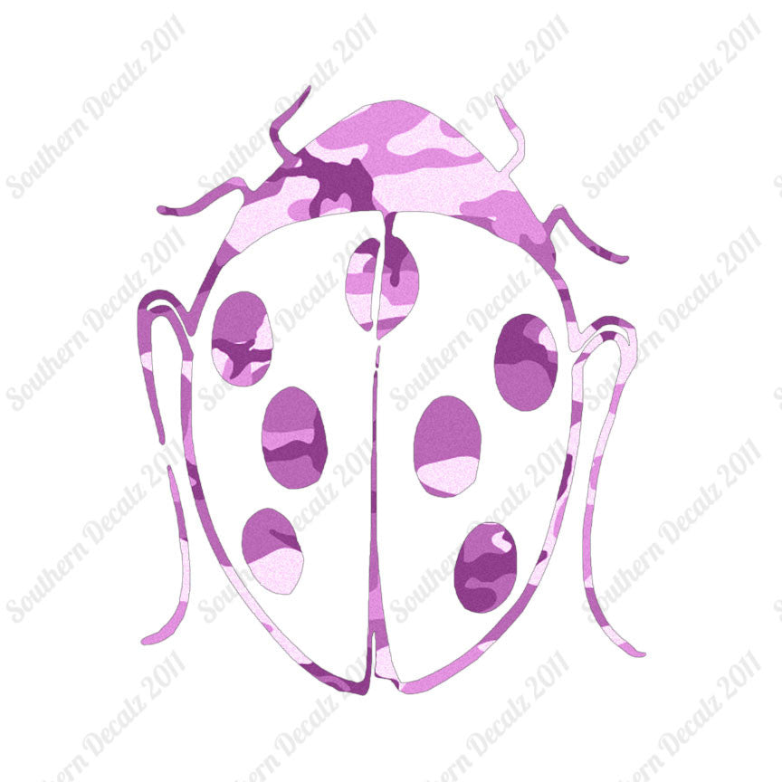 Ladybug Insect