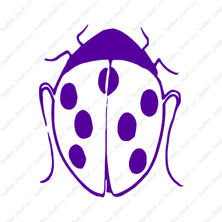 Ladybug Insect