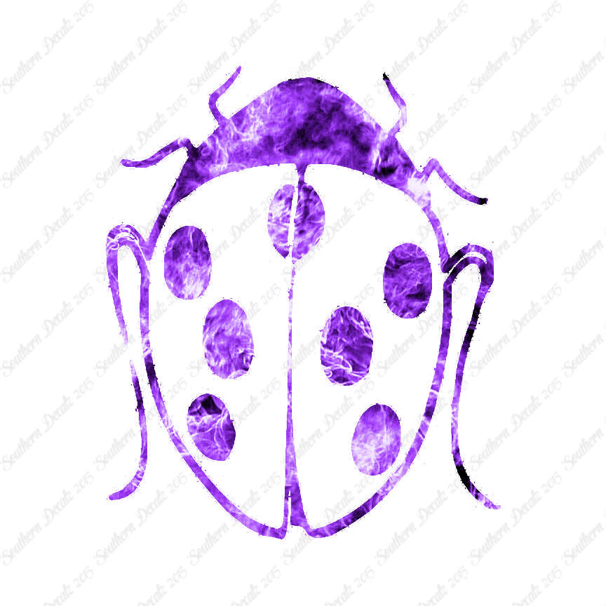 Ladybug Insect