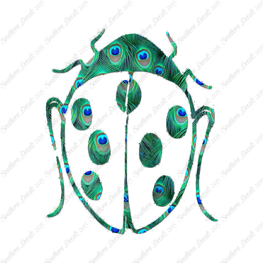 Ladybug Insect