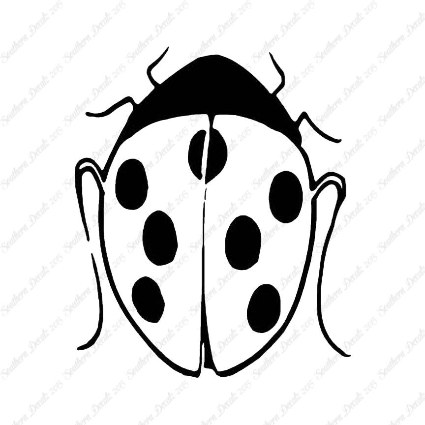 Ladybug Insect