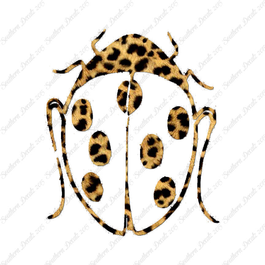 Ladybug Insect