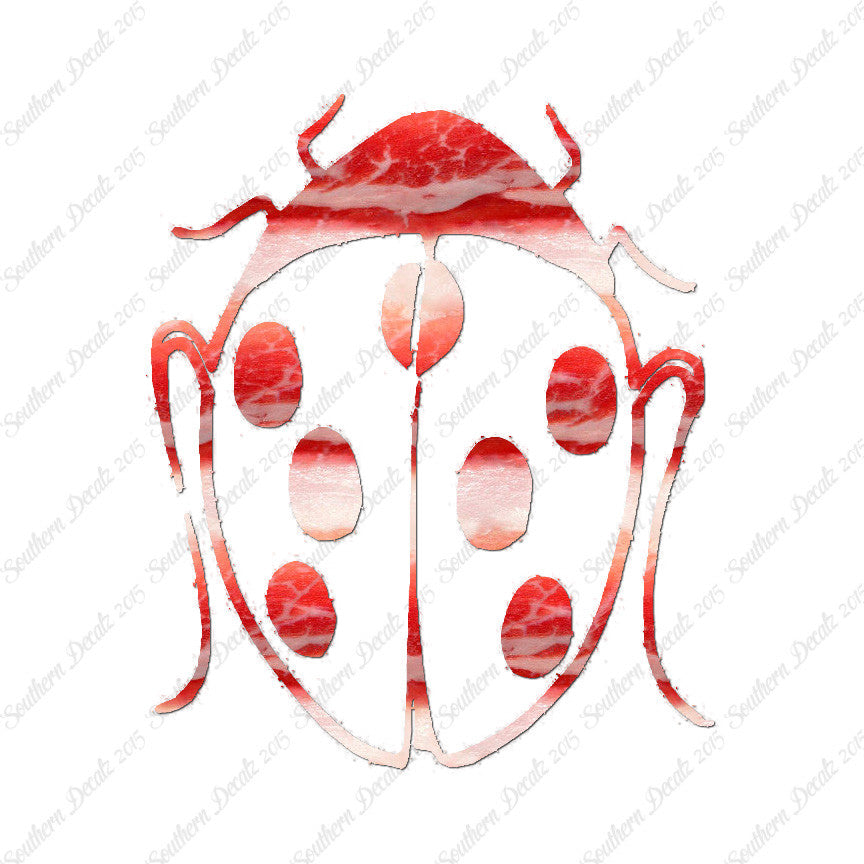 Ladybug Insect