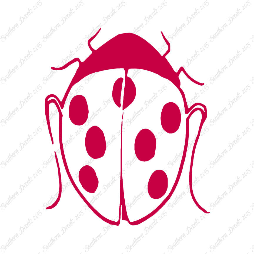 Ladybug Insect