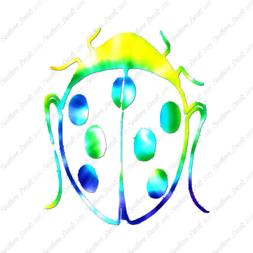 Ladybug Insect