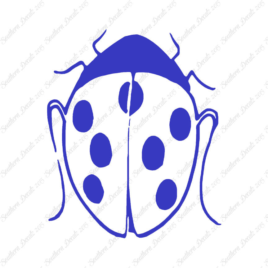 Ladybug Insect