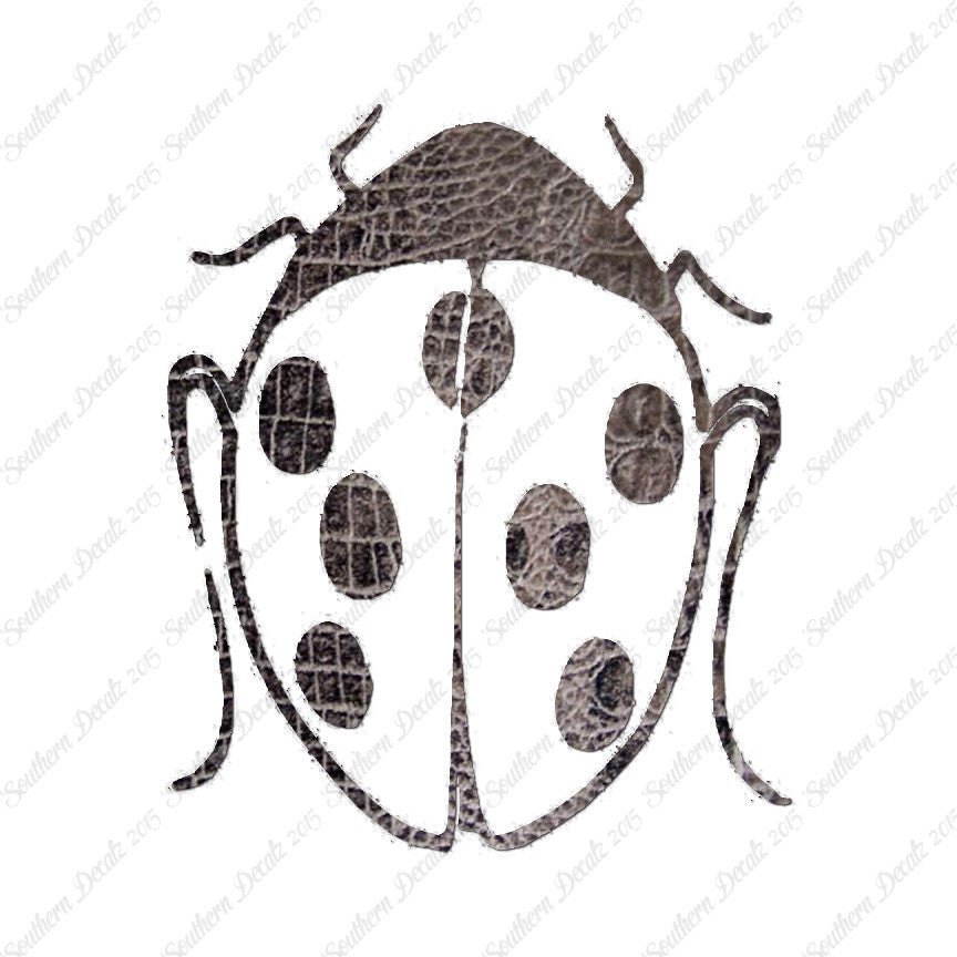 Ladybug Insect