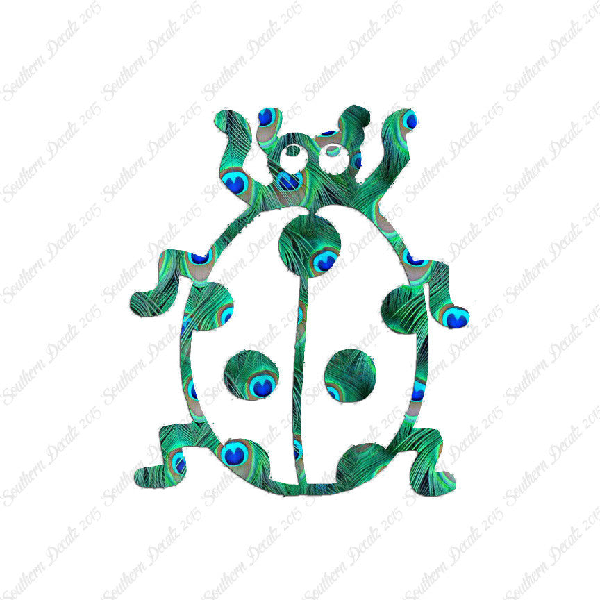 Ladybug Beetle Insect