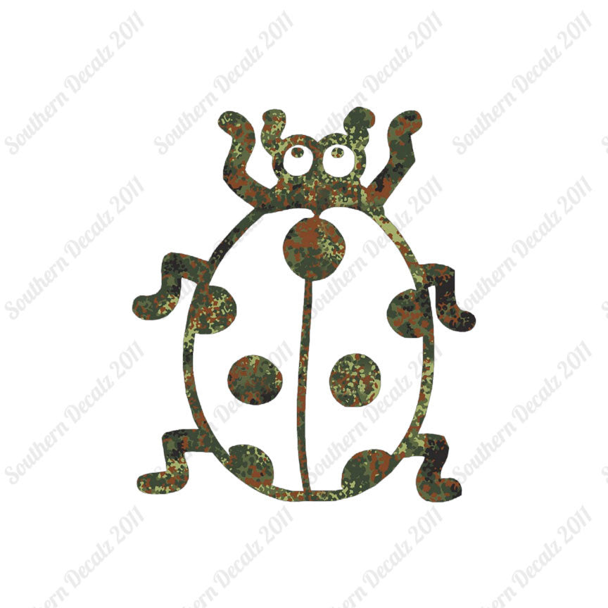 Ladybug Beetle Insect