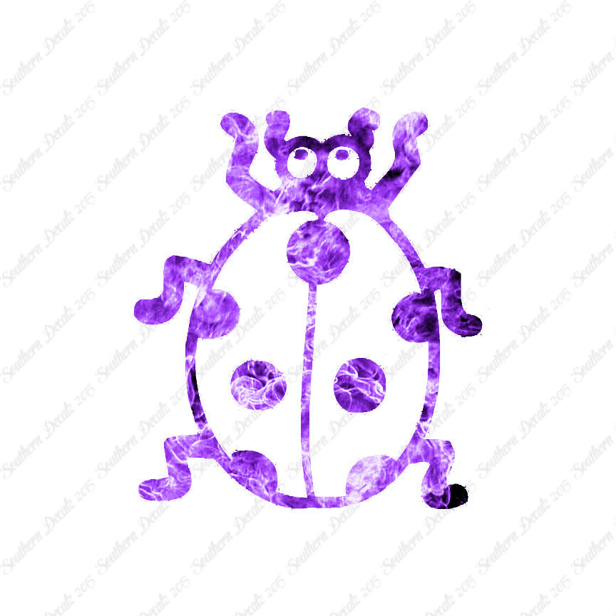 Ladybug Beetle Insect