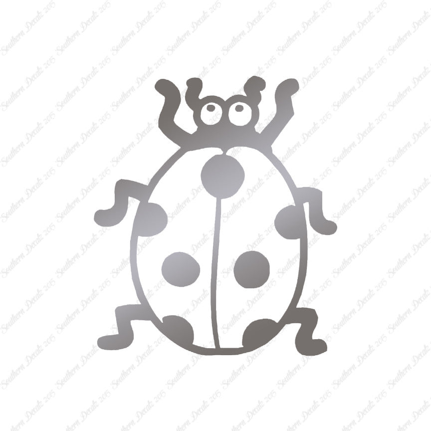 Ladybug Beetle Insect