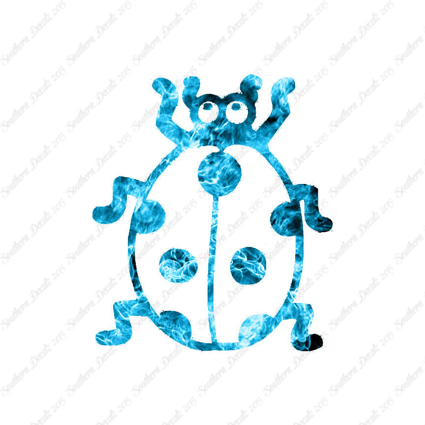 Ladybug Beetle Insect