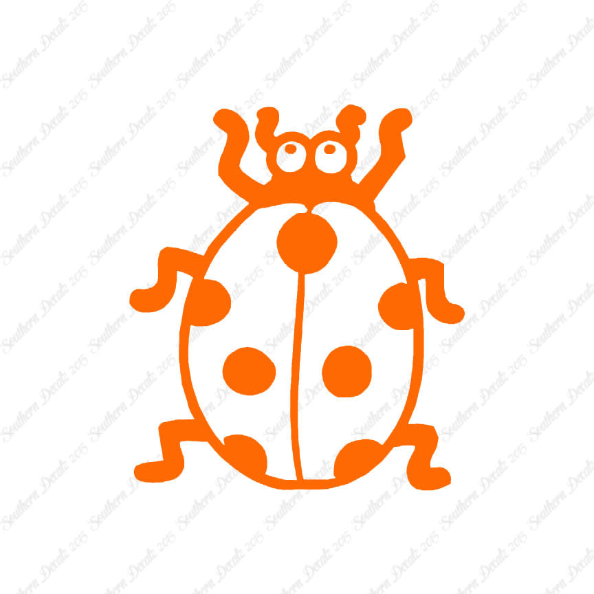 Ladybug Beetle Insect