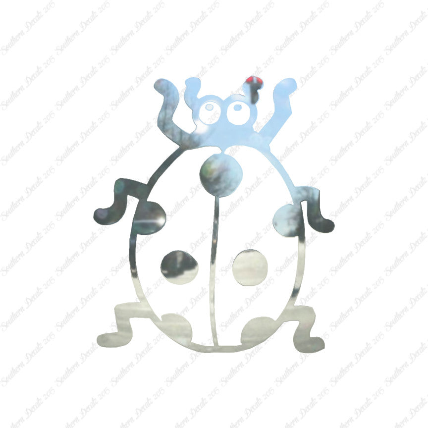Ladybug Beetle Insect