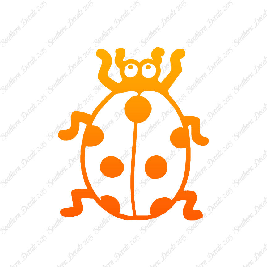 Ladybug Beetle Insect
