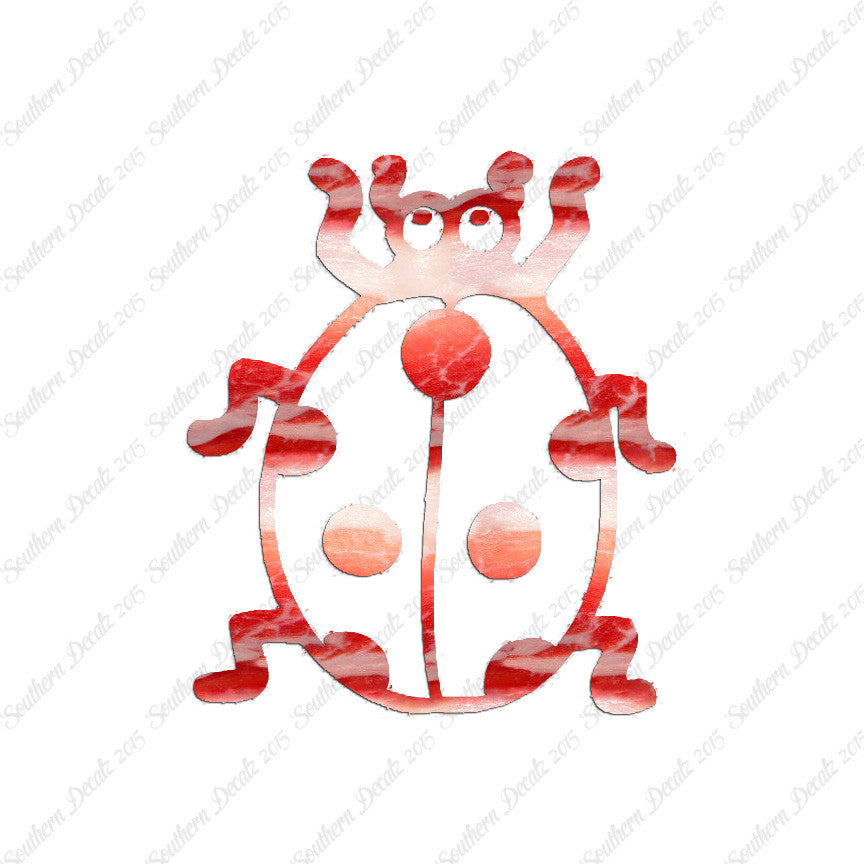 Ladybug Beetle Insect